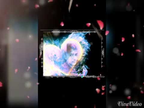 لا حبيب يخلصلك ولا صاحب