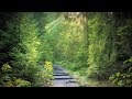 Beautiful Instrumental Hymns about Prayer and Devotion to God | Relaxing, Soothing, Devotional