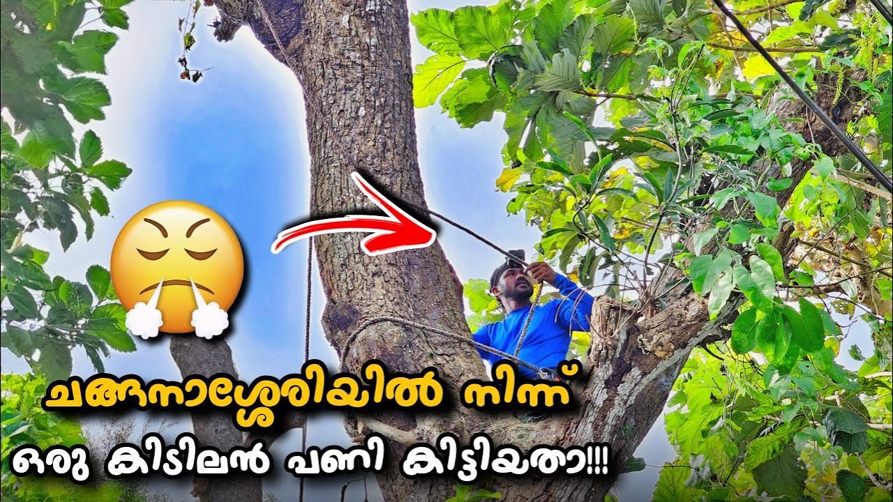 ഇത്രയും ദൂരം വന്നിട്ട് ഇങ്ങനെ ഒരു പണി കിട്ടും എന്ന് വിചാരിച്ചില്ല😰! | Kottayam | Village woodpecker