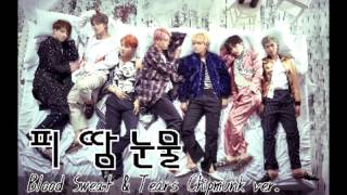 BTS - Blood Sweat & Tears [ Chipmunk Ver. ]