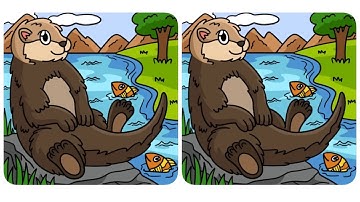 Find 3 differences in 60 seconds #48