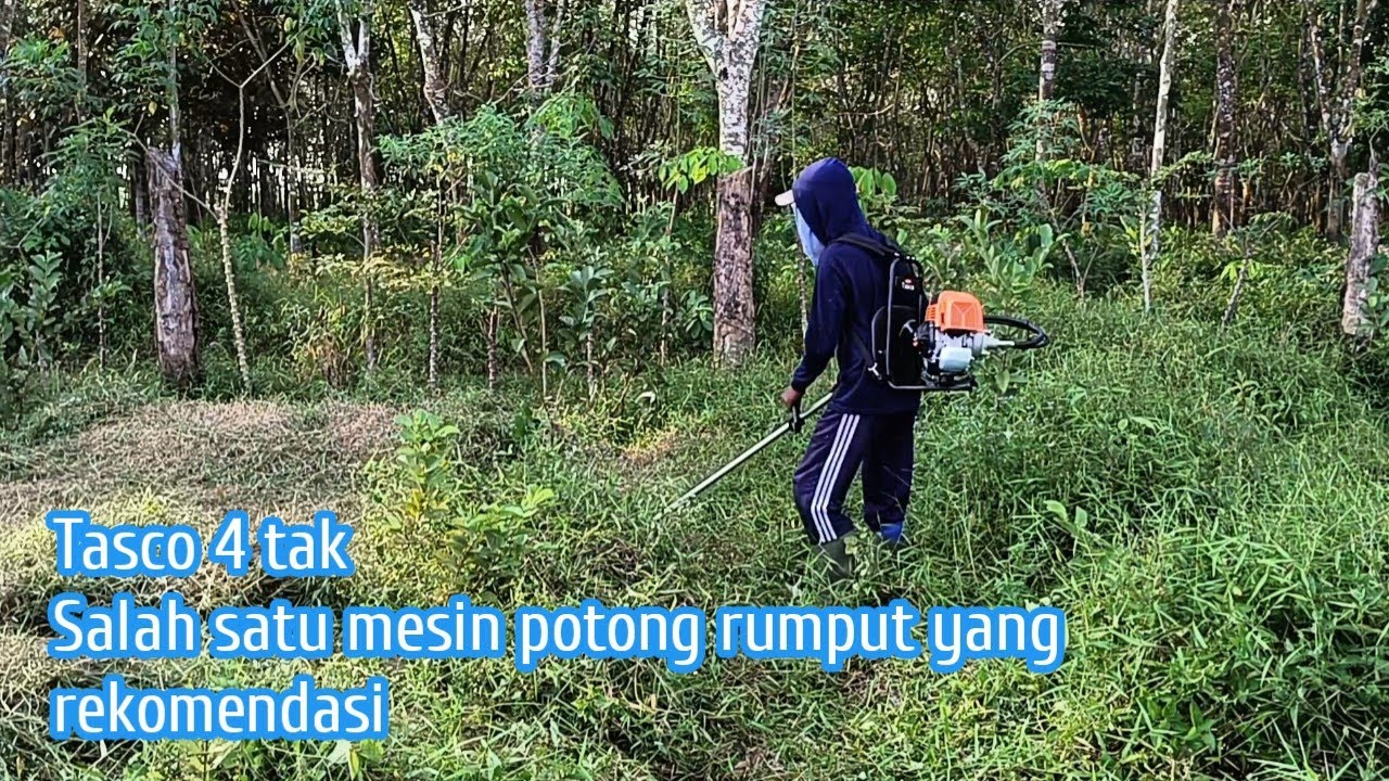Mesin potong rumput tasco 4 tak sangat rekomen sekali