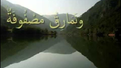 القرآن المعلم /شبكة المصطفى / بصوت المنشاوي - سورة  الغاشية