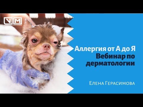 Аллергия от А до Я. Вебинар по дерматологии