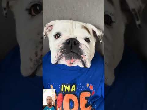 ها تربية ديال لفشوش هههههههه