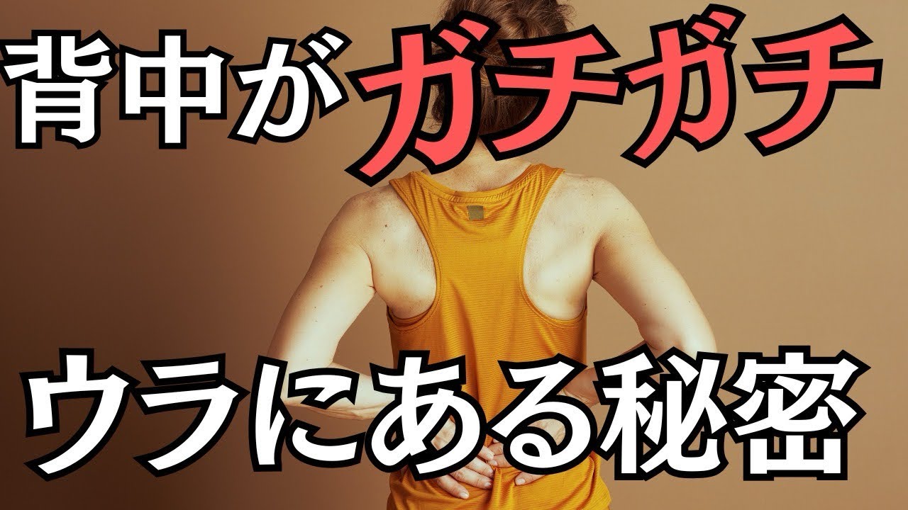 背中がガチガチな人のウラにある秘密