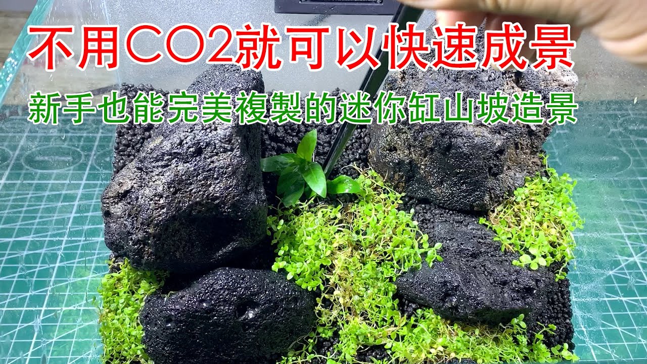 新手也能完美複製的迷你缸山坡造景 不用co2就可以快速成景 No Co2 Make Hillside Green Grass Landscape In Mini Aquarium Youtube