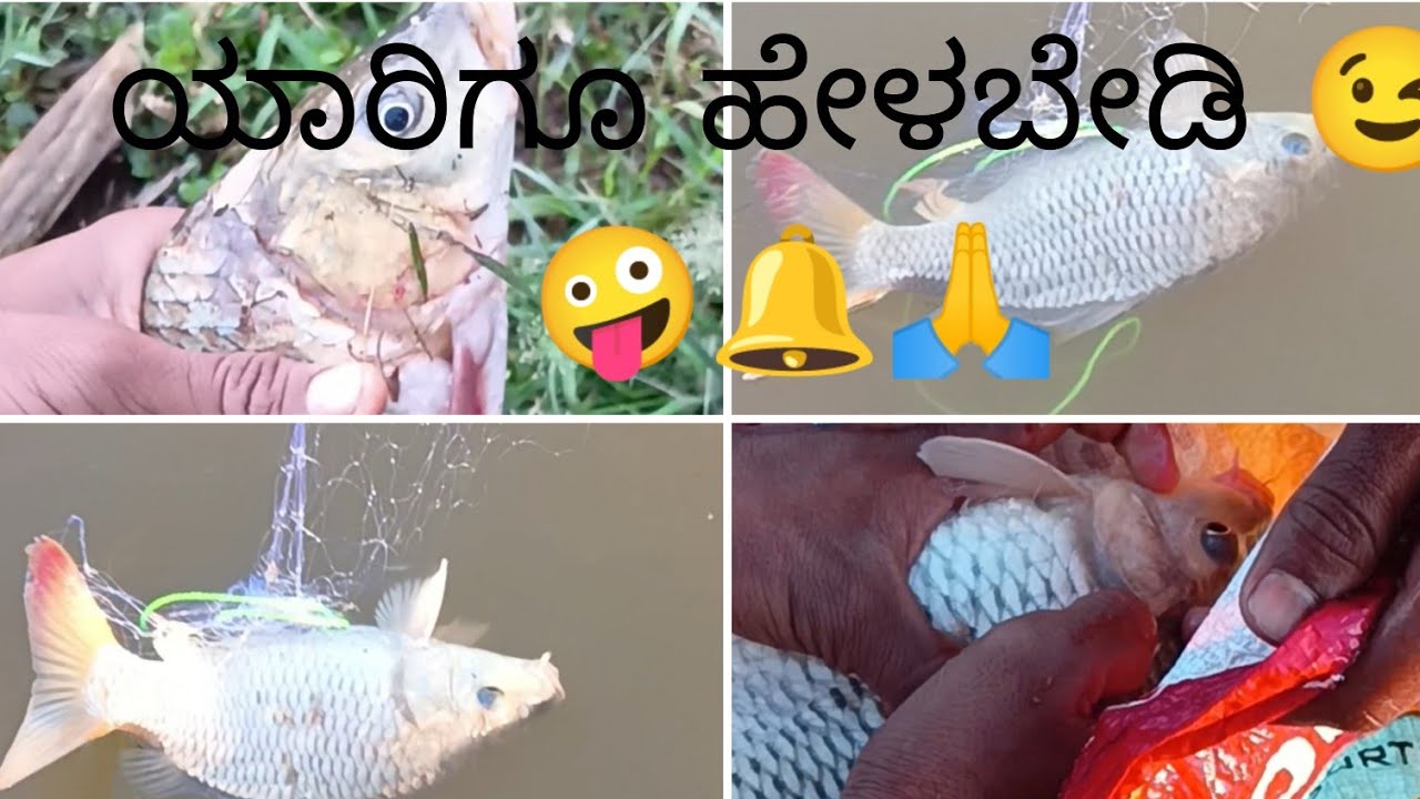 Friend Fish OMG | first time | Fish monster | with friends | jilebi fish | ಇನ್ನಷ್ಟೂ ...
