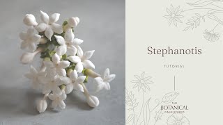 Gumpaste Stephanotis Sugar Flower tutorial
