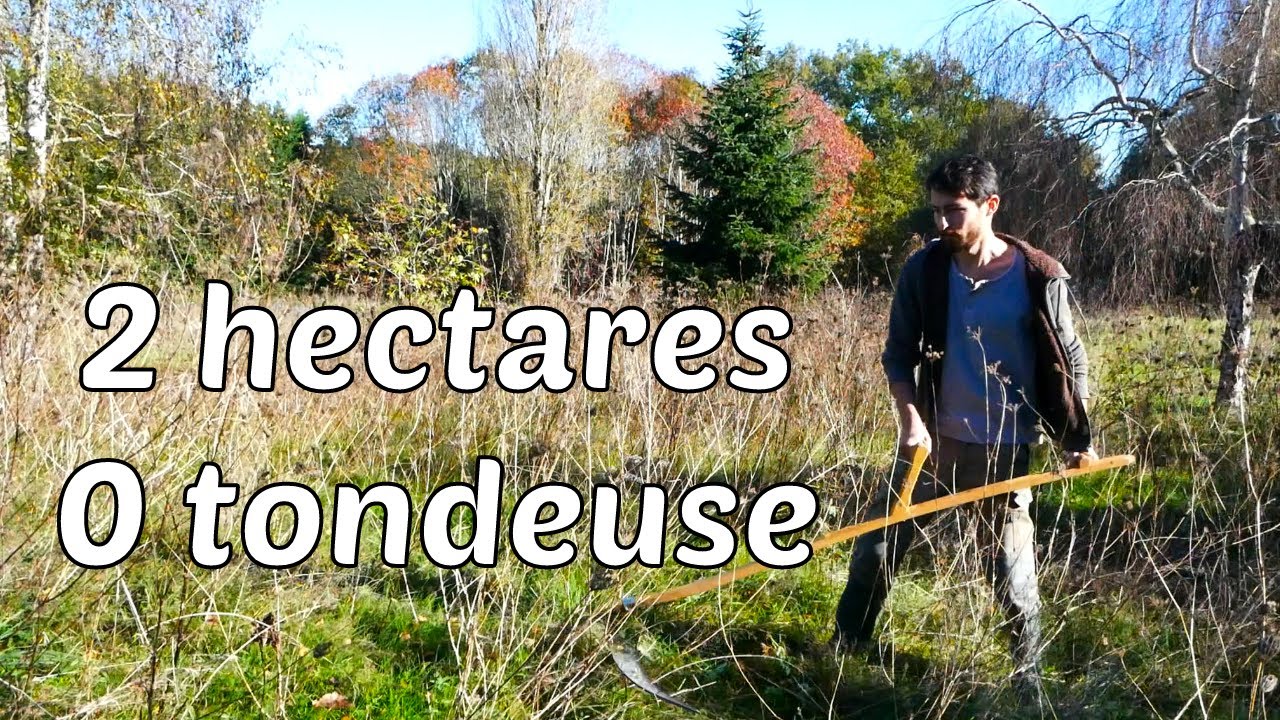 Gérer un grand terrain sans tondre (et surtout sans stresser)