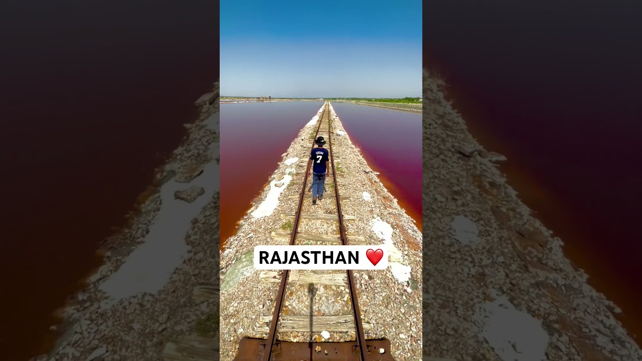 sambhar lake|sambhar lake rajasthan|sambhar lake jaipur|How to reach sambhar lake 