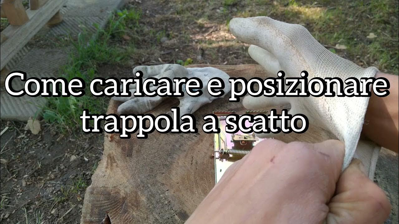 Come fare una trappola per topi al costo di 12 centesimi 