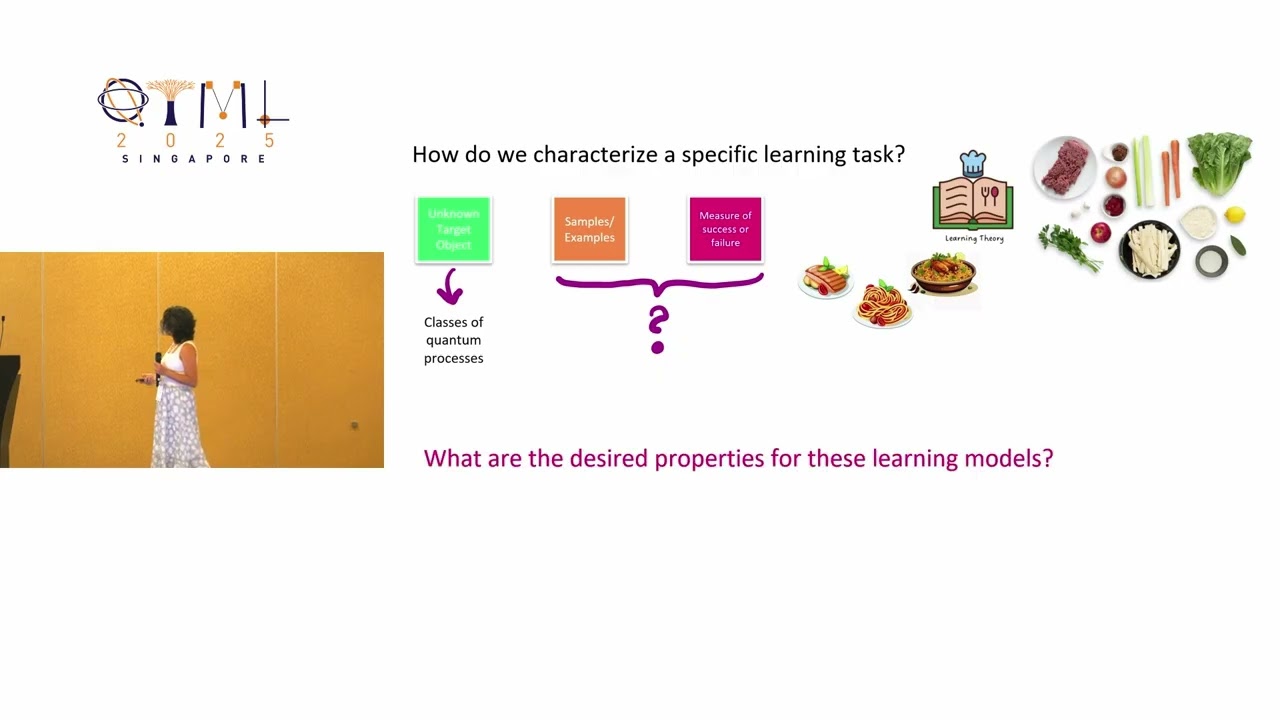 QTML 2025: Models of Learning for Quantum Processes: with noise, limitations and adversaries!