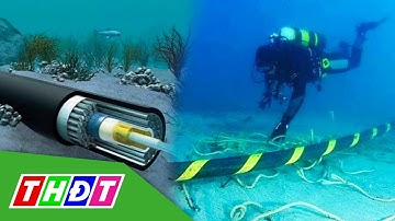 Ba tuyến cáp quang biển Việt Nam cùng gặp sự cố | THDT
