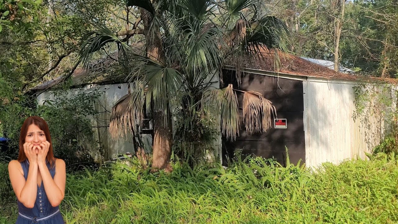 Годы пренебрежения превратили этот дом с привидениями в сплошной кошмар