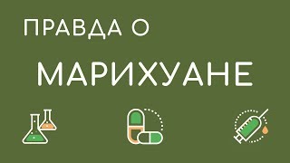 Марихуана, Анаша, Гашиш - истории употребления наркотиков, бывшие наркоманы, отзывы наркоманов