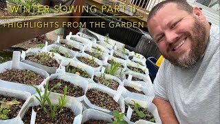 Winter Sowing Results Part II