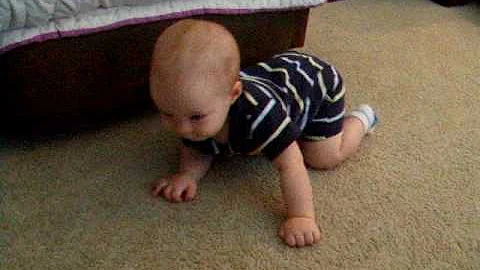 Noah Crawling for Memo