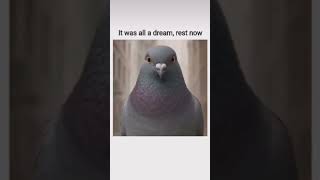 #weirddreams time for rest