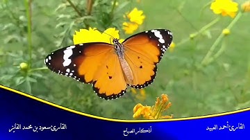 أذكار الصباح القارئ سعود الفايز القارئ أحمد العبيد