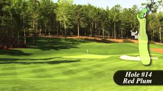 Sage Valley Golf Course - Hole 14 Overview