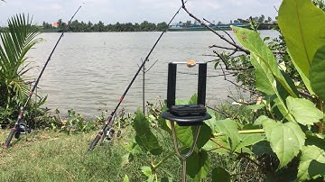 Ra bãi củ sông Cần giuộc, câu thử cá mè vinh