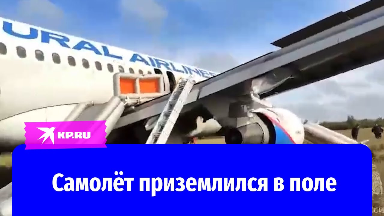 Самолёт Сочи-Омск совершил аварийную посадку в поле