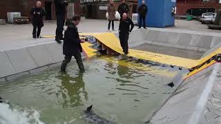 Deployment of a Water-Gate in a controlled environnement in Denmark