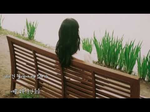 교이  🐳  긴 꿈     feat.. 송푸름    (가사)