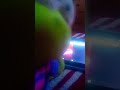 Reaccionando a los viedos en la tableta