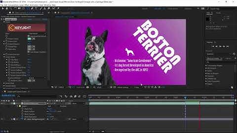 Clean up keyed footage using a garbage matte