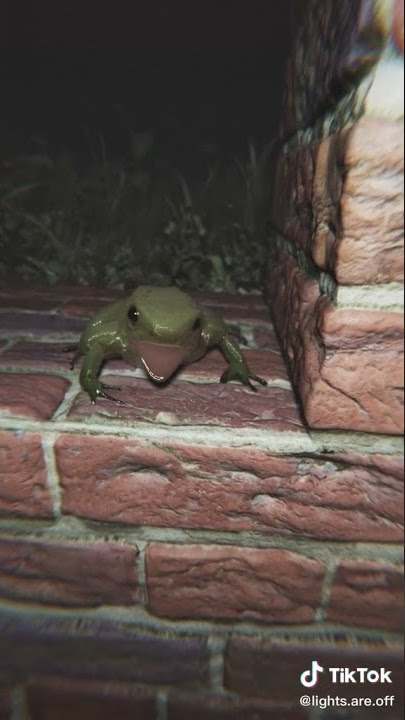 turned frog video into a horror 😅 | LIGHTS ARE OFF TIKTOK