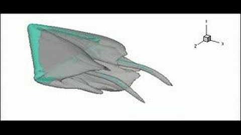 Flow over a delta wing at low Reynolds number