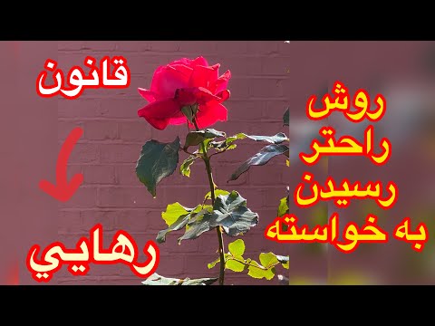 تصویری: رهایی یعنی چه؟