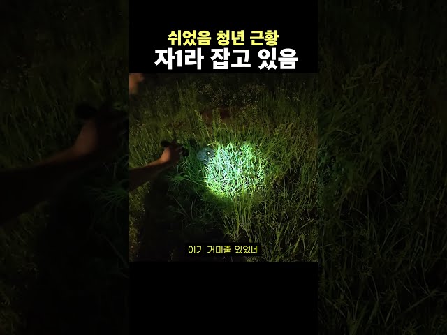 쉬었음 청년 근황