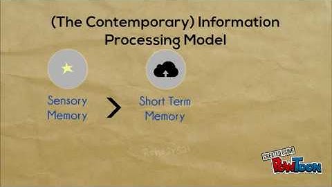 Information Processing Model - Memory formation