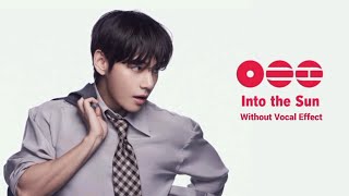 Bts into The Sun without Vocal Effect