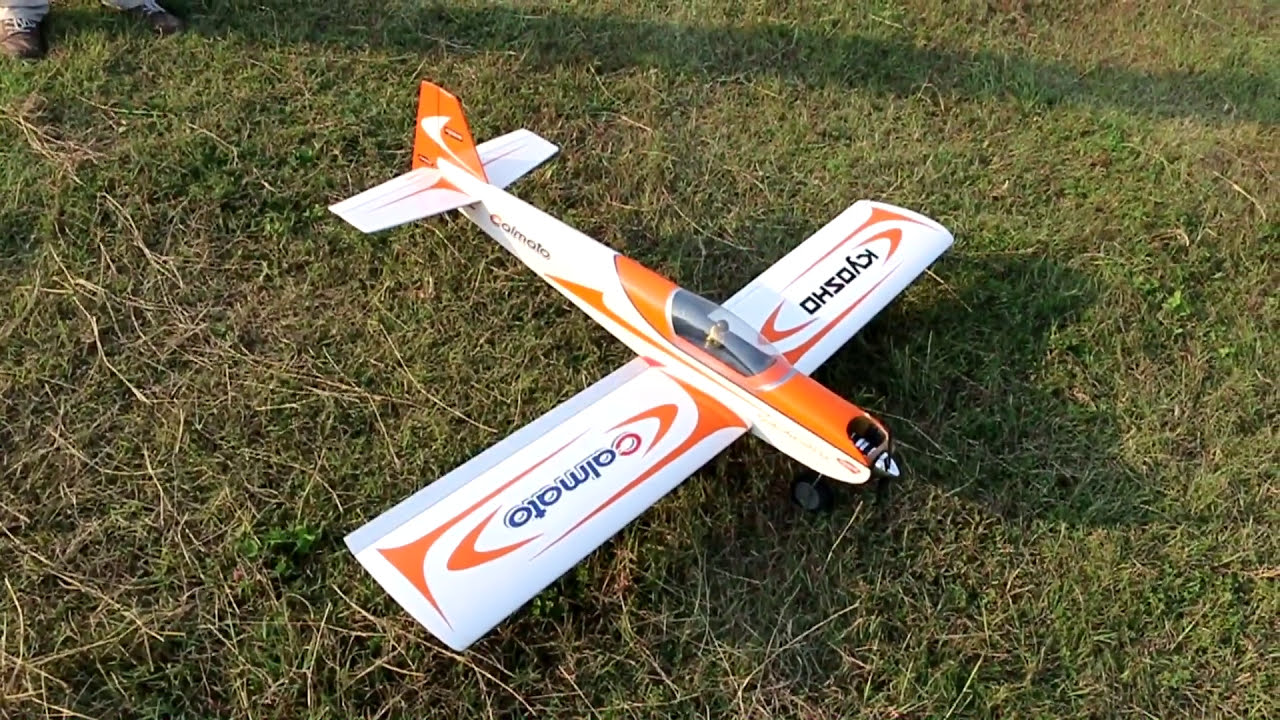 SkyRaccoon – RC Model Flying Icon Database