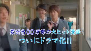 僕の初恋をキミに捧ぐ 野村周平 桜井日奈子