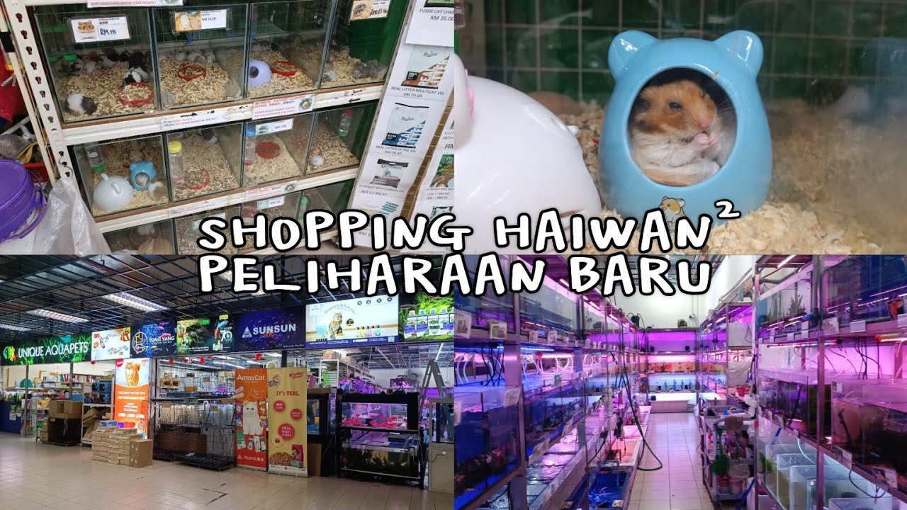 SHOPPING VLOG DI KEDAI HAIWAN PELIHARAAN UNIQUE AQUAPETS , NSK KUCHAI LAMA || TAK PERNAH BELA LAGI!