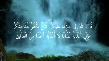 إبداع محمد الغزالي في تلاوة سورة المائدة