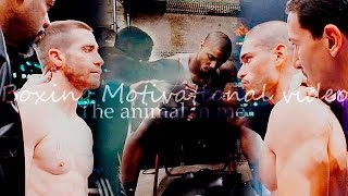 THE ANIMAL IN ME - Boxing Motivational video