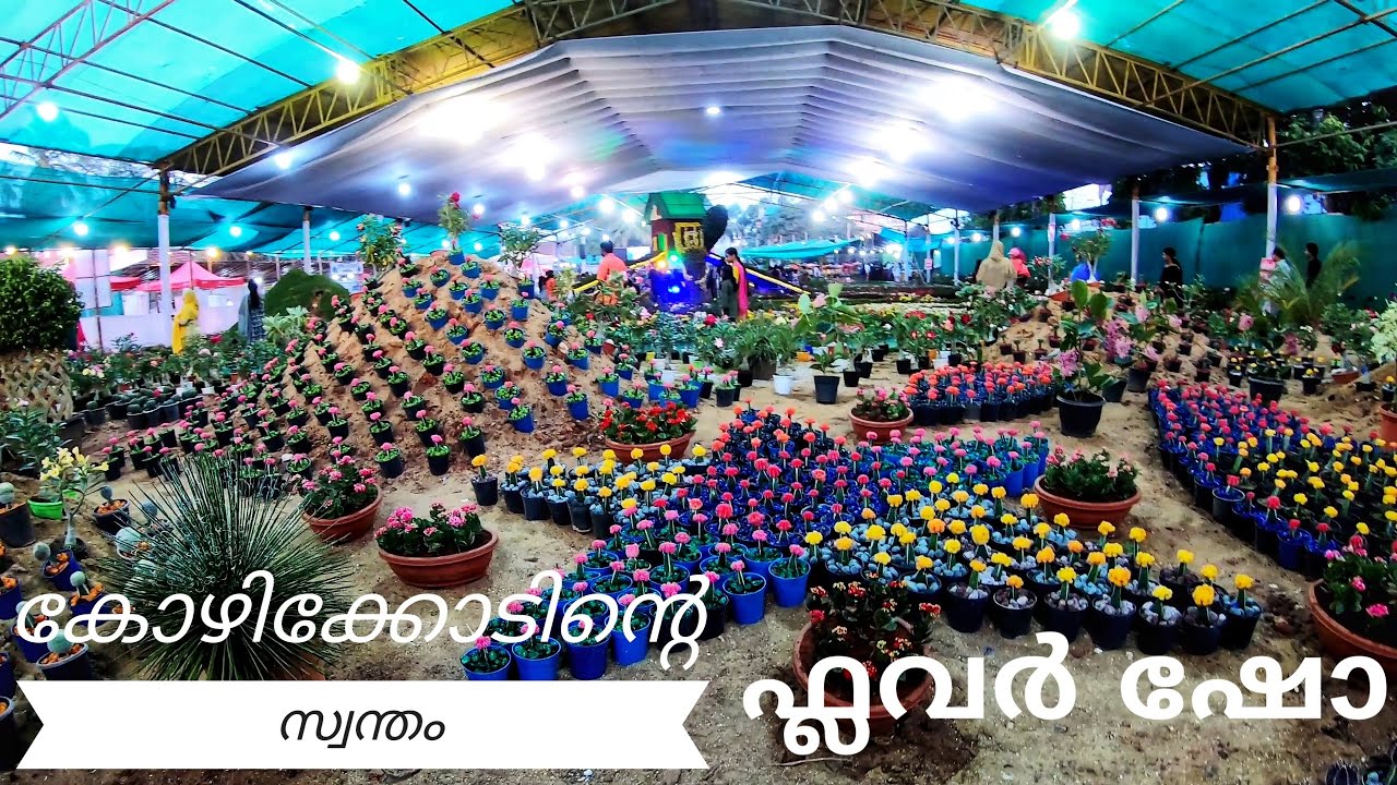 43rd CALICUT Flower Show 2020 highlights ENGLISH SUBTITLES YouTube