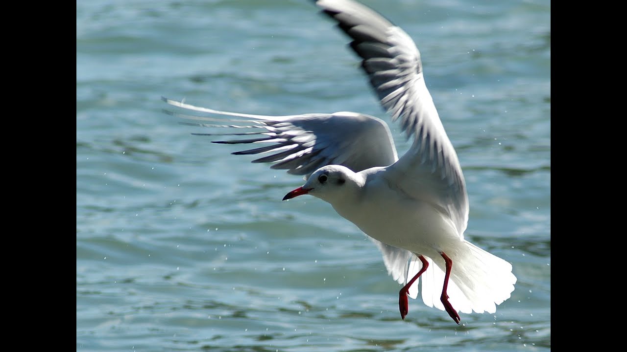 Краткое Краткое