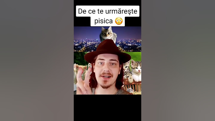 DE CE TE URMĂREŞTE PISICA 😳