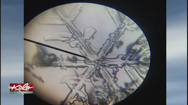 A Microscope View Of Snowflakes