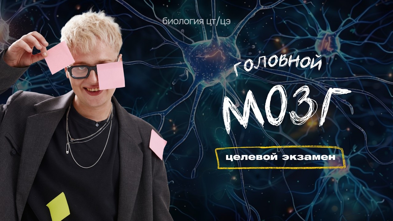ГОЛОВНОЙ МОЗГ | Целевой экзамен