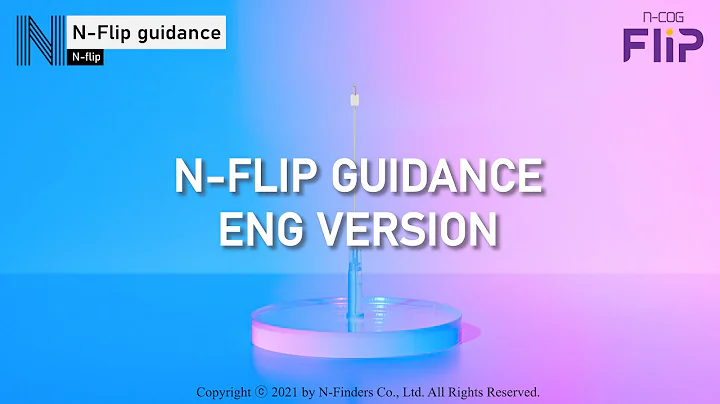N-Flip Guidance | ENG VER