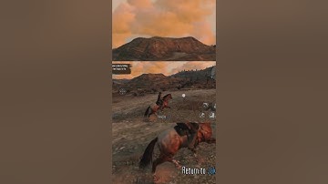 How to Play RDR Mobile on Low-end and Mid-range Mobil
