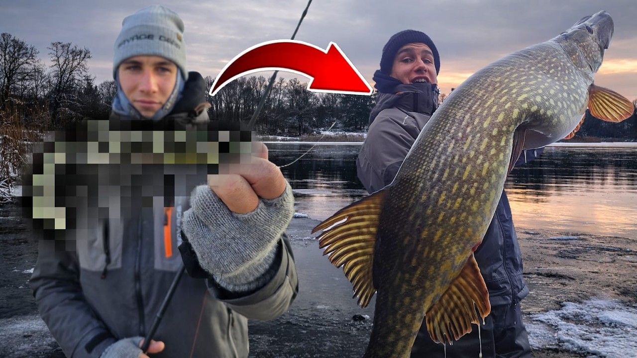 Meterhechtgarantie mit diesem Köder?! Ich teste es aus! Hechtangeln mit Köderfisch